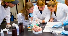 How Neuroscience Students can Explore the Field