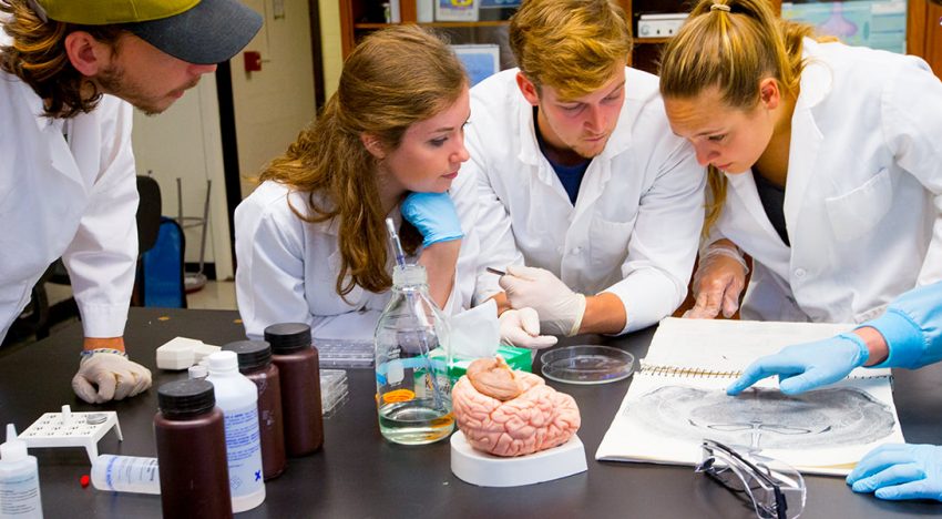 How Neuroscience Students can Explore the Field